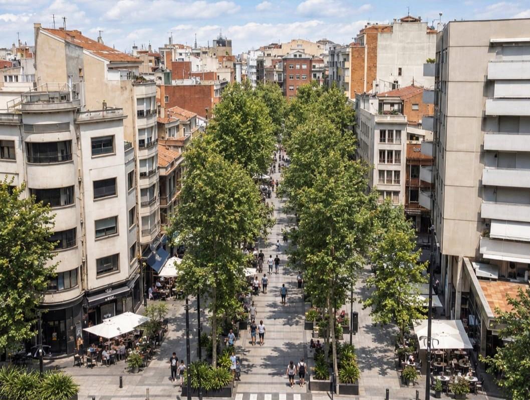 Recreació del Portal de Sant Roc com a bosc urbà: arbres grans a banda i banda, gent passejant i terrasses a l'ombra.